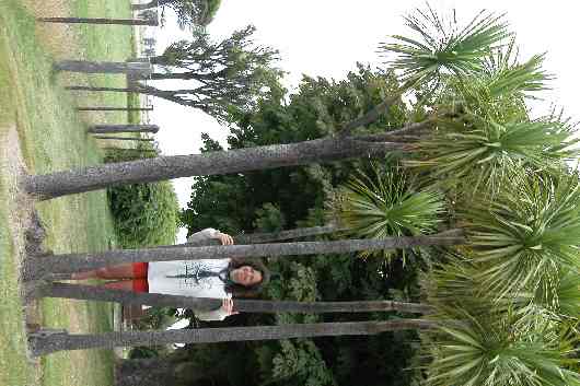 041vers Kaikoura.JPG (reduit)